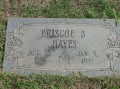Briscoe Hays * 1024 x 768 * (166KB)